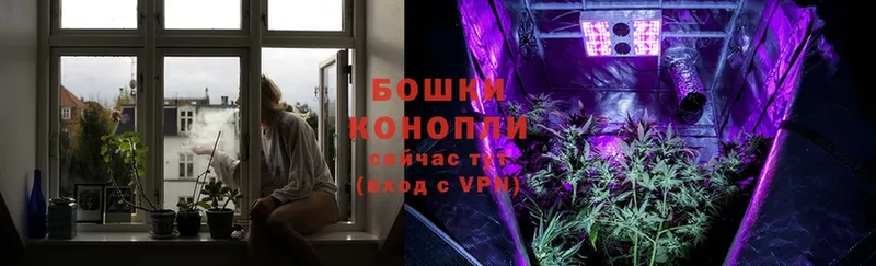 гидра онион  Жуков  Бошки марихуана LSD WEED 